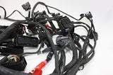 2016 BMW S1000XR OEM MAIN ENGINE WIRING HARNESS MOTOR WIRE LOOM