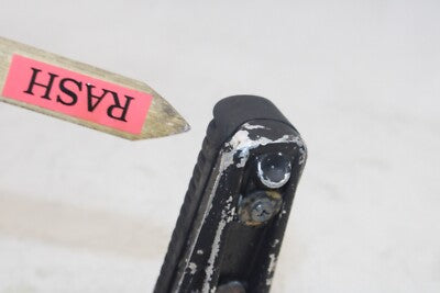 01-05 YAMAHA FZ1 Fazer FZS1000 OEM LEFT REAR BACK PASSENGER PEG