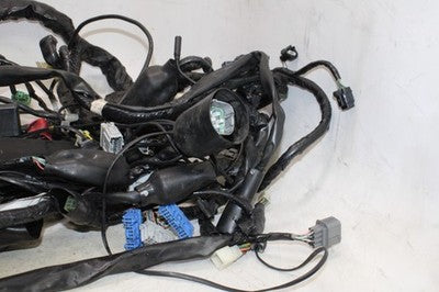 2006 HONDA GOLDWING 1800 GL1800 OEM MAIN ENGINE WIRING HARNESS MOTOR WIRE LOOM