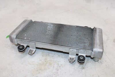 13-17 KAWASAKI NINJA 300 OEM ENGINE RADIATOR MOTOR COOLER COOLING RADIATER