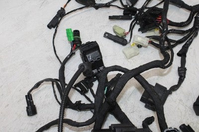 2018 BMW G310GS OEM MAIN ENGINE WIRING HARNESS MOTOR WIRE LOOM