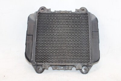 92-07 KAWASAKI NINJA 250R EX250OEM ENGINE RADIATOR MOTOR COOLER COOLING RADIATER