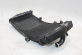 00-01 HONDA CBR929RR OEM ENGINE RADIATOR MOTOR COOLER COOLING RADIATER