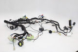 1997 TRIUMPH TROPHY 900 OEM MAIN ENGINE WIRING HARNESS MOTOR WIRE LOOM