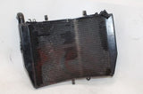 07-10 HONDA CBR600RR OEM ENGINE RADIATOR MOTOR COOLER COOLING RADIATER