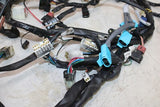 1999 TRIUMPH SPEED TRIPLE T509 OEM MAIN ENGINE WIRING HARNESS MOTOR WIRE LOOM