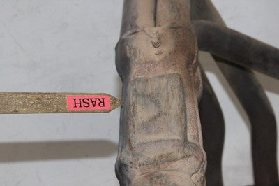 97-03 HONDA CBR1100XX OEM EXHAUST HEADER PIPES MANIFOLD