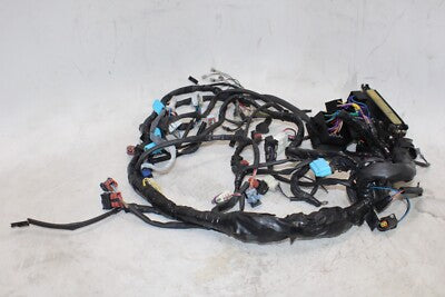 1999 TRIUMPH SPEED TRIPLE T509 OEM MAIN ENGINE WIRING HARNESS MOTOR WIRE LOOM