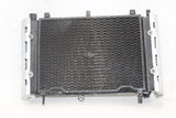 01-05 YAMAHA FZ1 OEM ENGINE RADIATOR MOTOR COOLER COOLING RADIATER