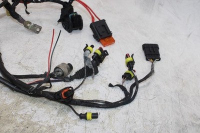 2003 DUCATI 999 OEM MAIN ENGINE WIRING HARNESS MOTOR WIRE LOOM