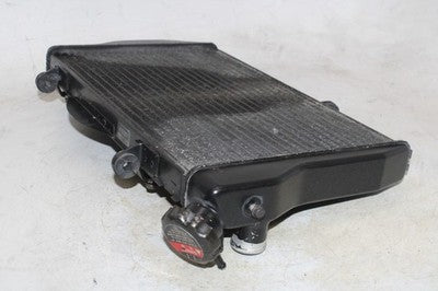 01-03 HONDA CBR1100XX OEM ENGINE RADIATOR MOTOR COOLER COOLING RADIATER
