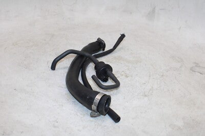 2004 TRIUMPH DAYTONA 600 OEM MISC HOSES PAPES
