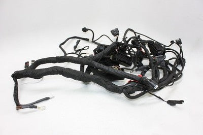 2016 BMW S1000XR OEM MAIN ENGINE WIRING HARNESS MOTOR WIRE LOOM