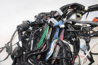 2006 HONDA GOLDWING 1800 GL1800 OEM MAIN ENGINE WIRING HARNESS MOTOR WIRE LOOM