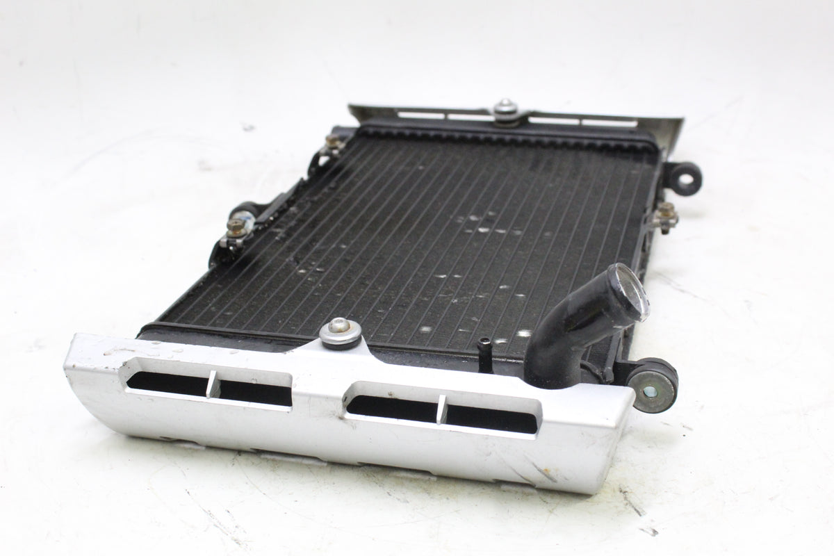 2003 Yamaha FZ1 FZS1000 Fazer OEM ENGINE RADIATOR MOTOR COOLER COOLING RADIATER