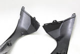 09-14 2009 2014 BMW S1000rr Right Left Gas Tank Fairings Covers Cowls Set OEM