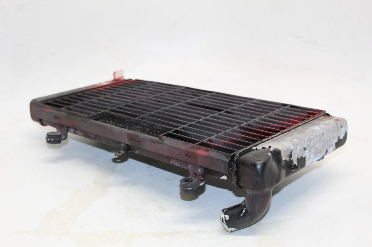1993 HONDA ST1100 RADIATOR Engine Coolant Radiator GRILLE