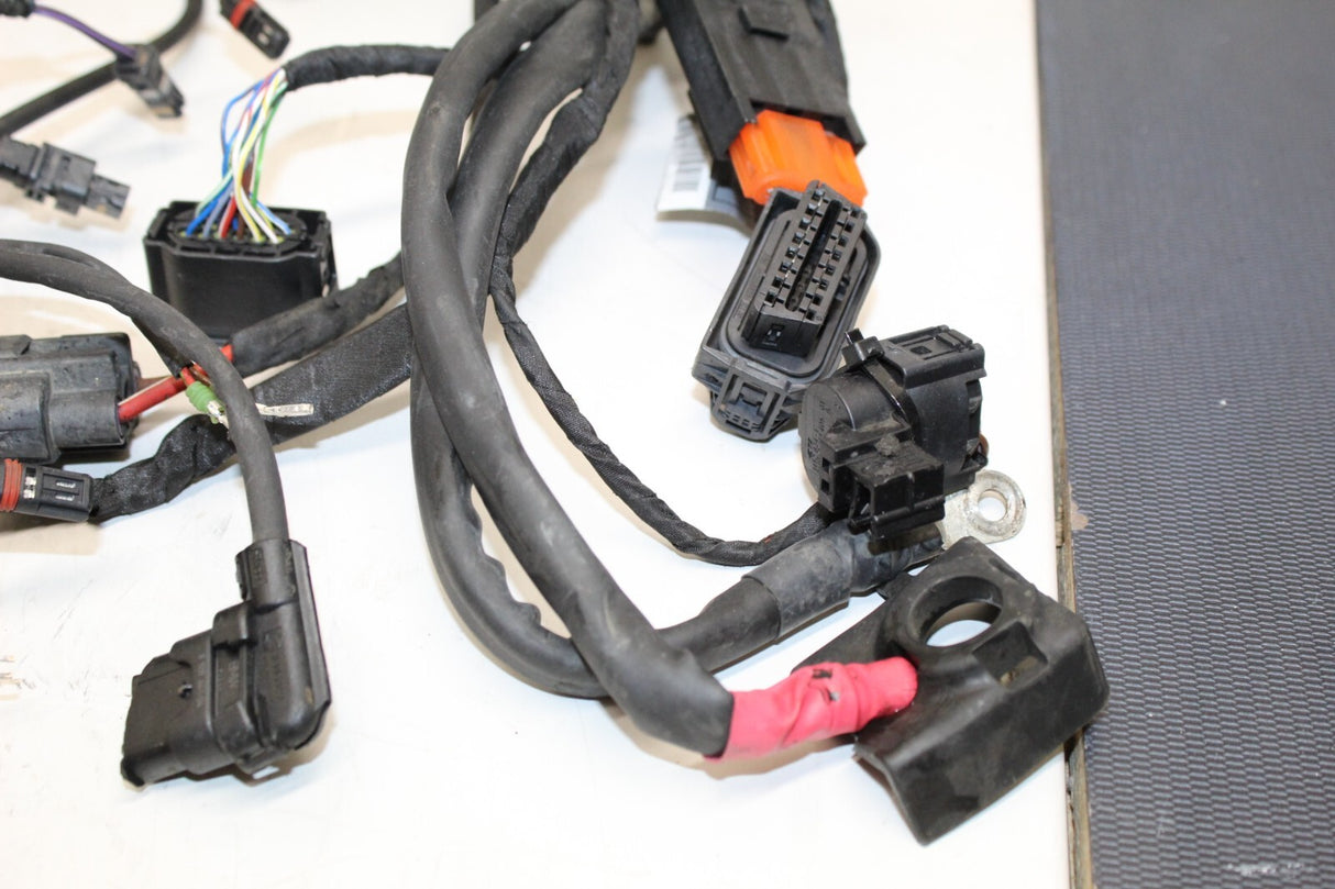2021 BMW S1000XR Main Engine Wiring Harness Wire Loom Cable OEM