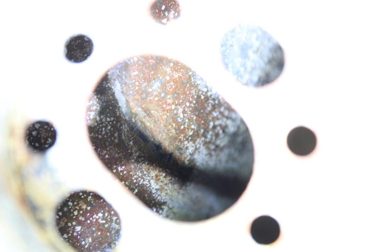 2004 Kawasaki Vulcan 1500 Vn1500l Nomad Fi Gas Tank Fuel Petrol Reservoir