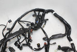 2023 21-24 Kawasaki Ninja ZX-10R Main Wiring Harness OEM