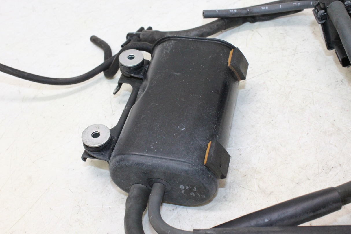 2007 Honda Cbr600rr Evap Vapor Charcoal Emission Canister With Sensor