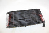 1993 HONDA ST1100 RADIATOR Engine Coolant Radiator GRILLE