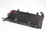 1993 HONDA ST1100 RADIATOR Engine Coolant Radiator GRILLE