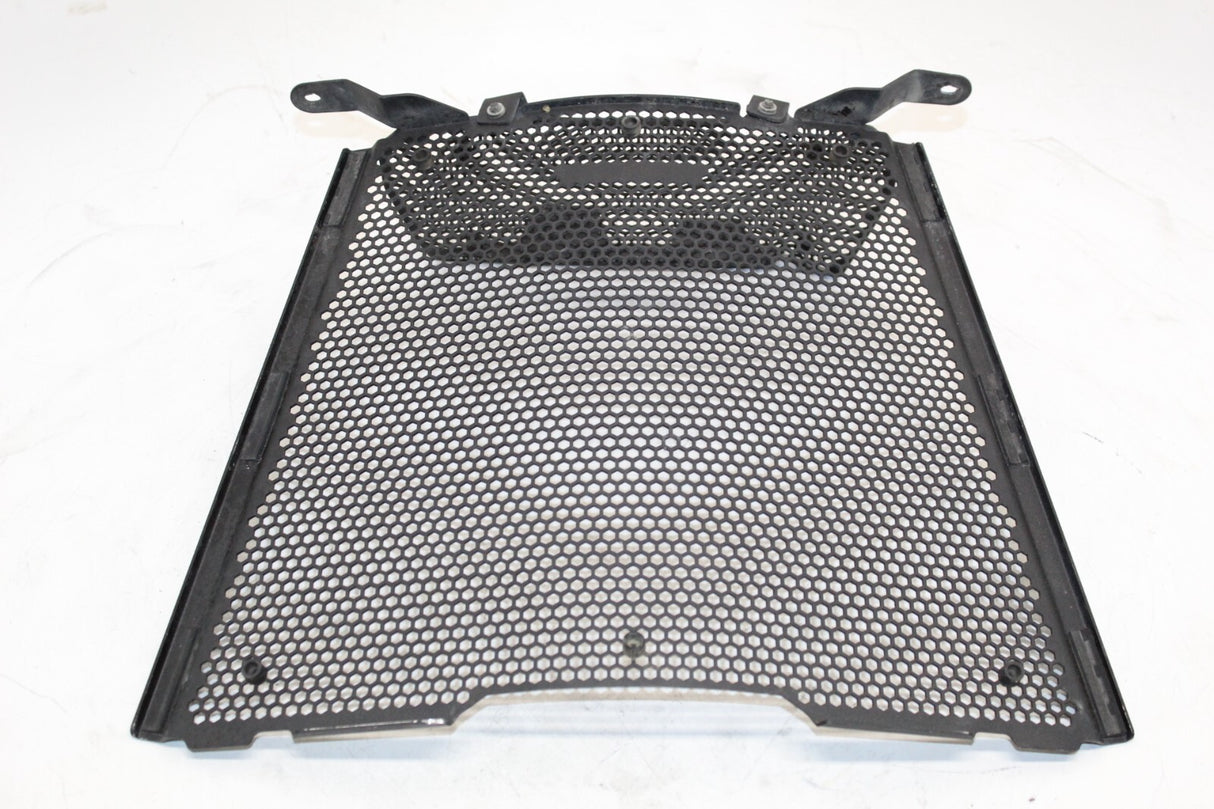 2021 BMW S1000 XR Radiator Oil Cooler Guard Grille Cover Protector OEM