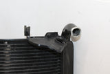 2007 Honda Cbr600rr Engine Radiator Motor Cooler Cooling Radiater