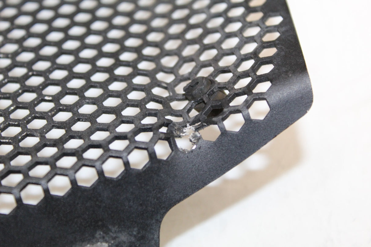 2021 BMW S1000 XR Radiator Oil Cooler Guard Grille Cover Protector OEM