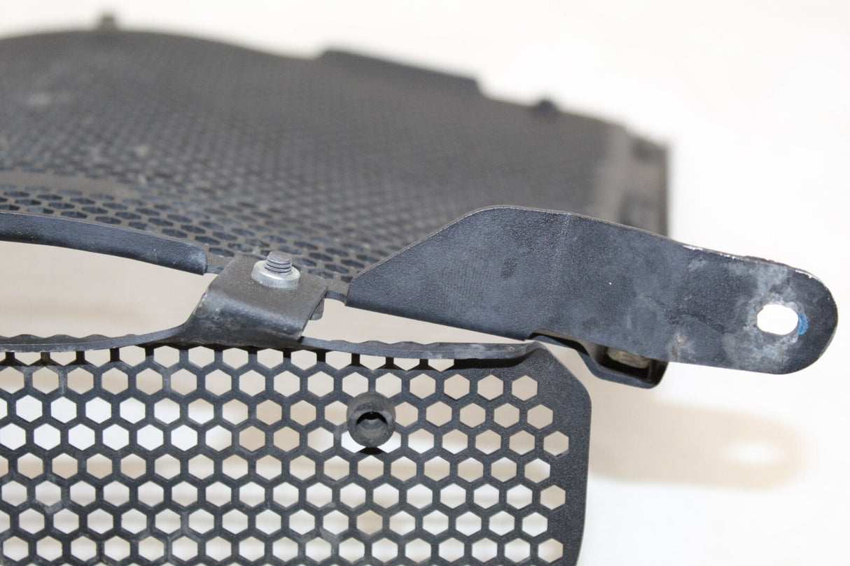 2021 BMW S1000 XR Radiator Oil Cooler Guard Grille Cover Protector OEM