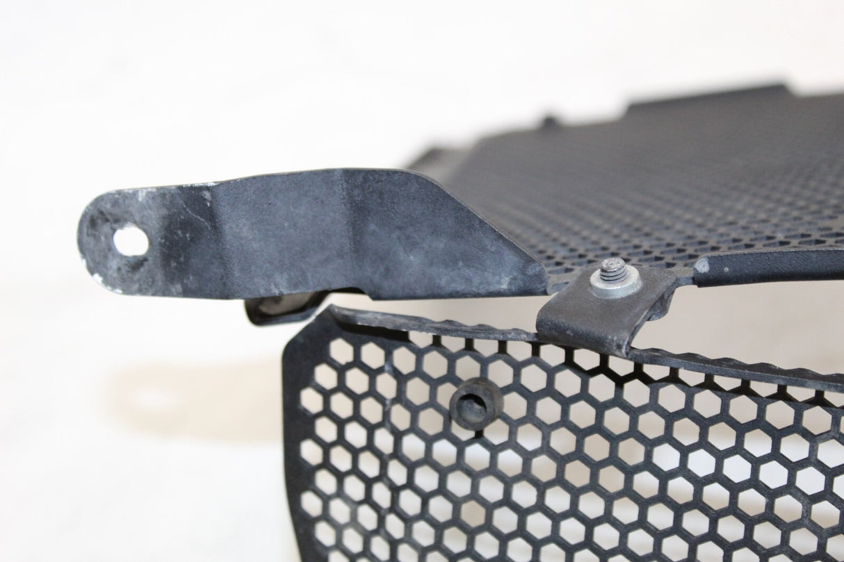 2021 BMW S1000 XR Radiator Oil Cooler Guard Grille Cover Protector OEM