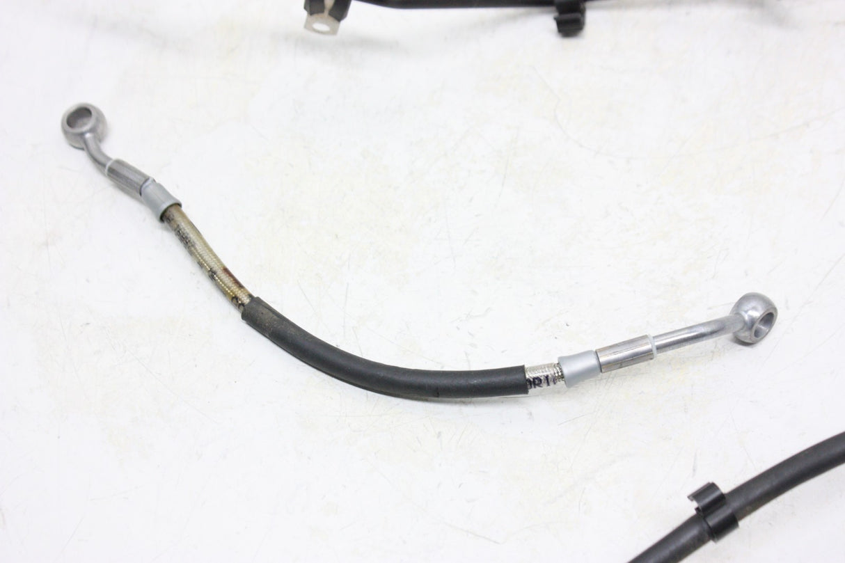 2021 BMW S1000XR S1000 OEM Brake Hose Lines Set