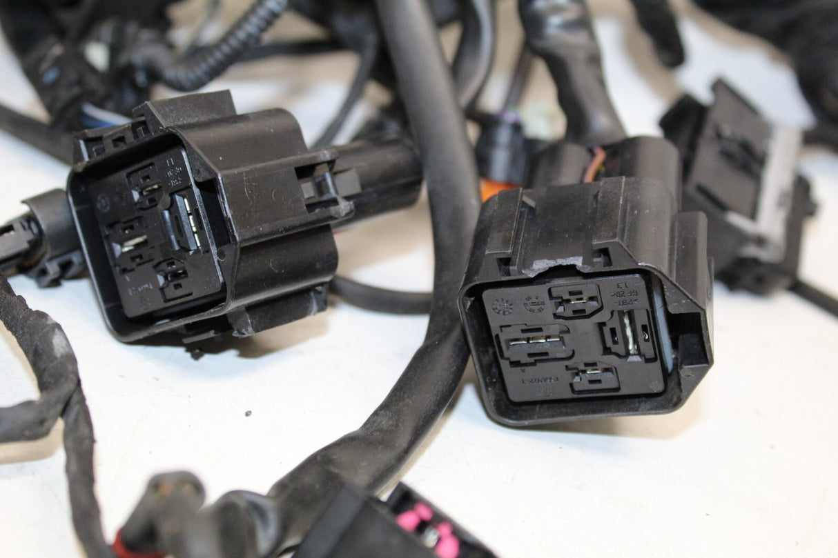 2021 BMW S1000XR Main Engine Wiring Harness Wire Loom Cable OEM