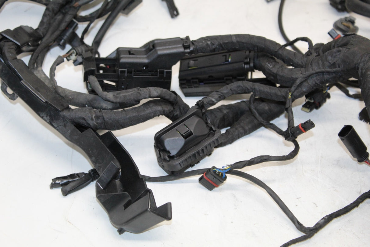 2021 BMW S1000XR Main Engine Wiring Harness Wire Loom Cable OEM