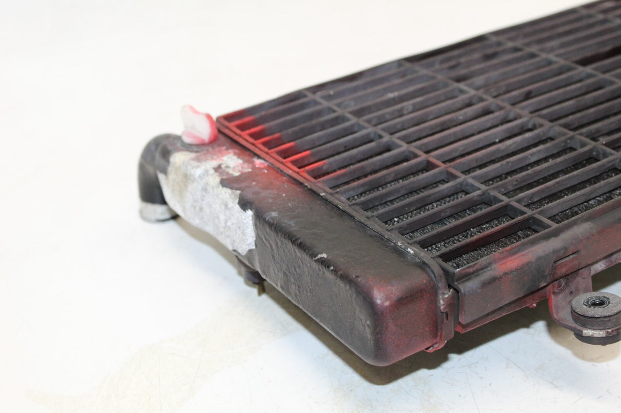 1993 HONDA ST1100 RADIATOR Engine Coolant Radiator GRILLE