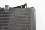 2004 Triumph Daytona 600 OEM ENGINE RADIATOR MOTOR COOLER COOLING RADIATER