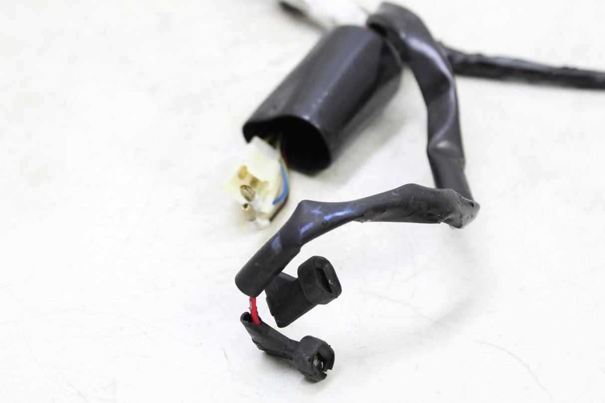 2017 Genuine Scooter Co. Buddy 125 OEM MAIN ENGINE WIRING HARNESS MOTOR