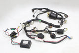 2003 YAMAHA FZ1 FZS1000 FAZER OEM MAIN WIRING HARNESS WIRE LOOM
