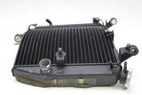 2007 Yamaha YZF R6S OEM ENGINE RADIATOR MOTOR COOLER COOLING RADIATER