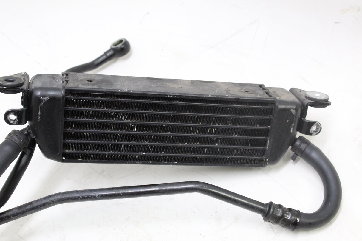 2000 BMW R1100RT OEM ENGINE OIL COOLER RADIATOR W HOSES LINES