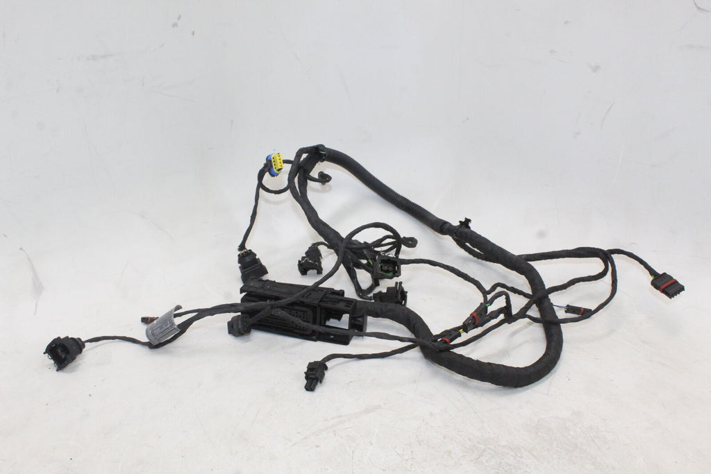 2008-18 Bmw F800Gs Speedo Gauges Wiring Harness Wire Loom Oem