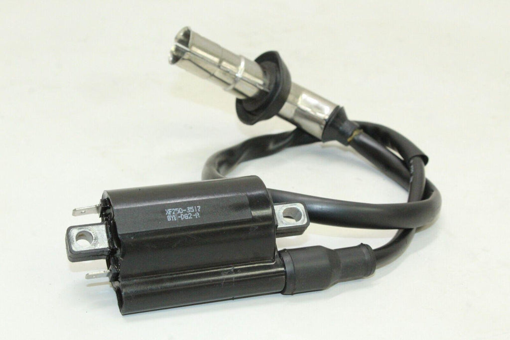 2023 Zinger 200Cc Ignition Coil Oem