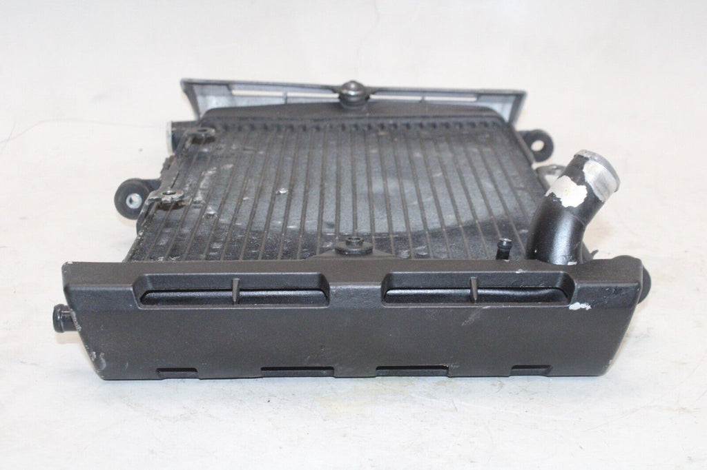 01-05 Yamaha Fz1 Fazer Fzs1000 Oem Engine Radiator Motor Cooler Cooling Radiater