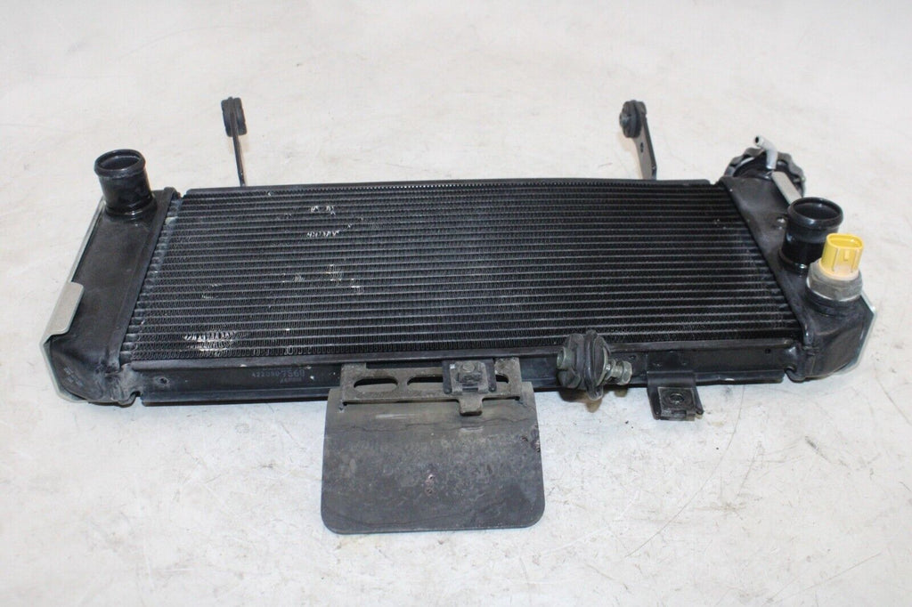03-09 Suzuki Sv650S Oem Engine Radiator Motor Cooler Cooling Radiater