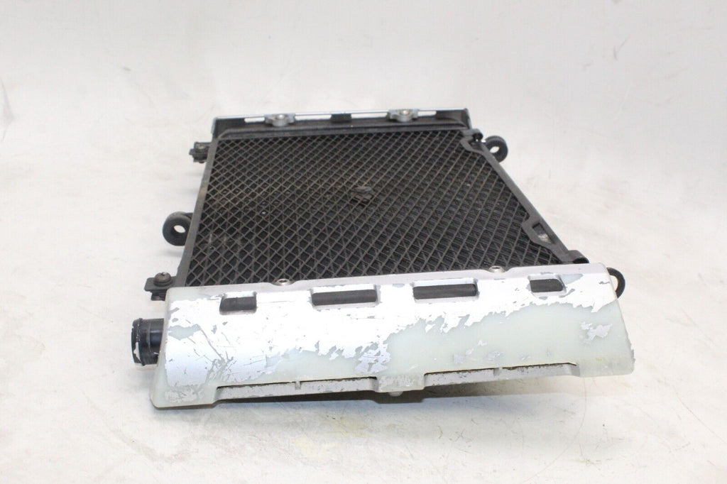 01-05 Yamaha Fz1 Oem Engine Radiator Motor Cooler Cooling Radiater