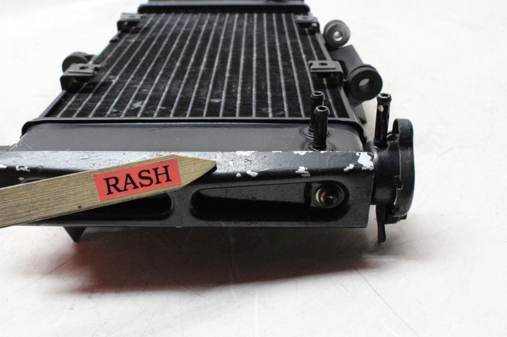 04-06 Yamaha Fz6 Oem Engine Radiator Motor Cooler Cooling Radiater