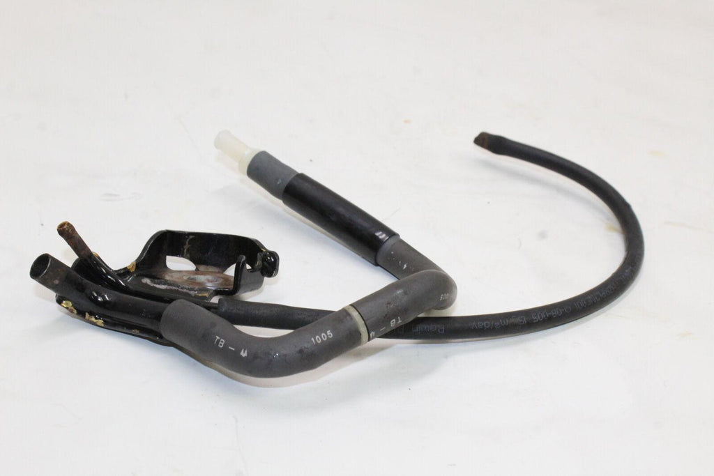 2005-06 Honda Cbr600Rr Hoses Bracket Lines Oem