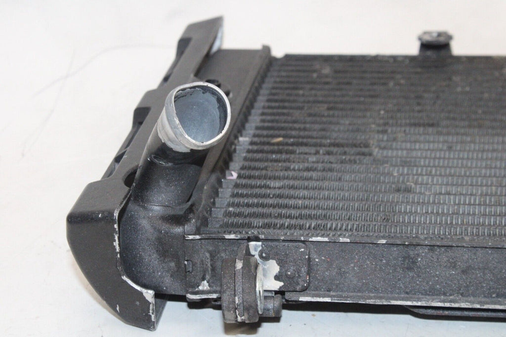 01-05 Yamaha Fz1 Fazer Fzs1000 Oem Engine Radiator Motor Cooler Cooling Radiater