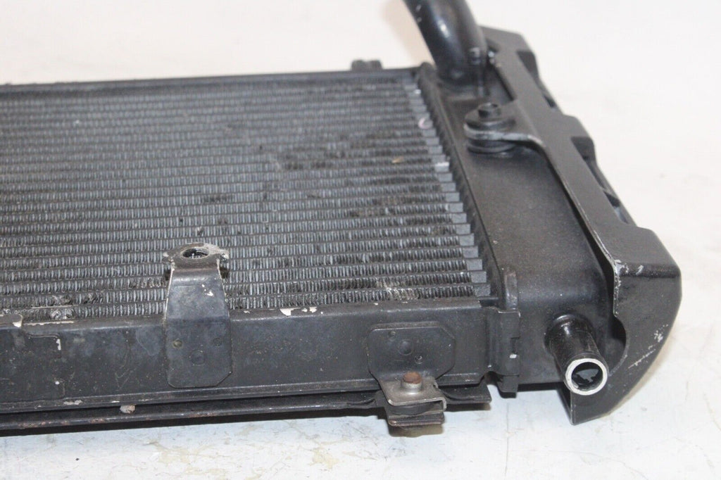 01-05 Yamaha Fz1 Fazer Fzs1000 Oem Engine Radiator Motor Cooler Cooling Radiater